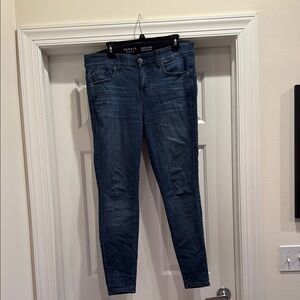 Torrid Bombshell Skinny Premium Jeans